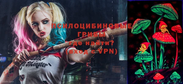 ПСИЛОЦИБИНОВЫЕ ГРИБЫ Горно-Алтайск