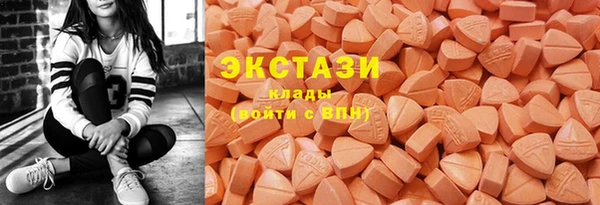 ПСИЛОЦИБИНОВЫЕ ГРИБЫ Горно-Алтайск